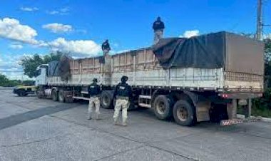 Mais de 330 mil maços de cigarro são apreendidos pela PRF em Juazeiro, no norte da Bahia