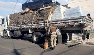 Mais de 100 kg de cocaína são encontrados escondidos em carga de ração de peixe na BA