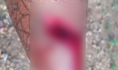 Glória (BA): Mulher é suspeita de esfaquear marido após ler mensagens em celular