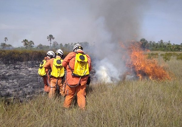 Cerca de 200 bombeiros atuam para combater incêndios florestais em 15 cidades do interior