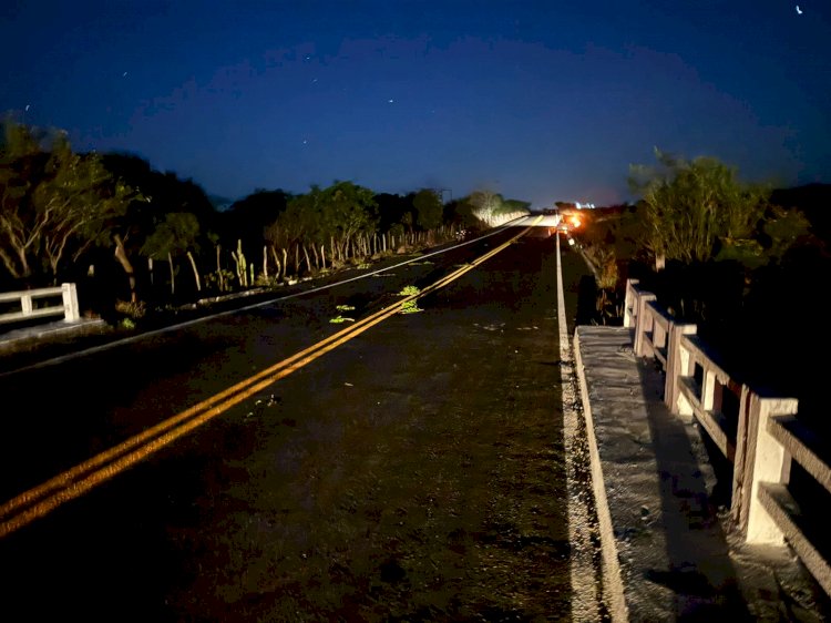 Animal na pista provoca mais uma morte em trecho da AL-220 entre Olho d’Água do Casado e Piau